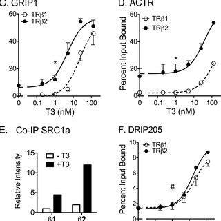 Enhanced reporter gene activation by TR2. An expression construct for ...