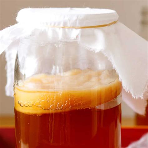 Kombucha Recipe 1 5 Gallon | Bryont Blog