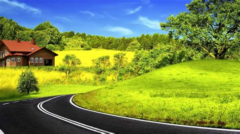 Road Between Green Grass Field Trees Blue Sky Background HD Nature Wallpapers | HD Wallpapers ...