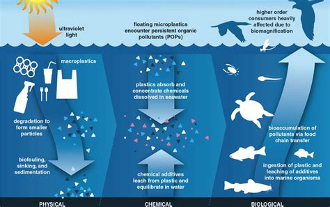 https://www.americanscientist.org/article/plastics-plastics-everywhere ...