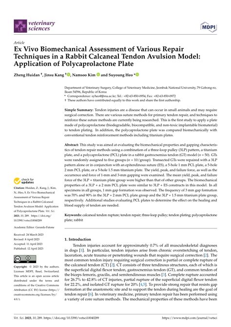 (PDF) Ex Vivo Biomechanical Assessment of Various Repair Techniques in ...