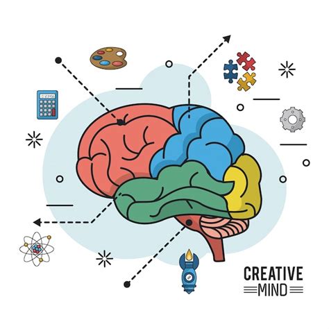 Colorido cartel de la mente creativa con diferentes partes del cerebro | Vector Premium