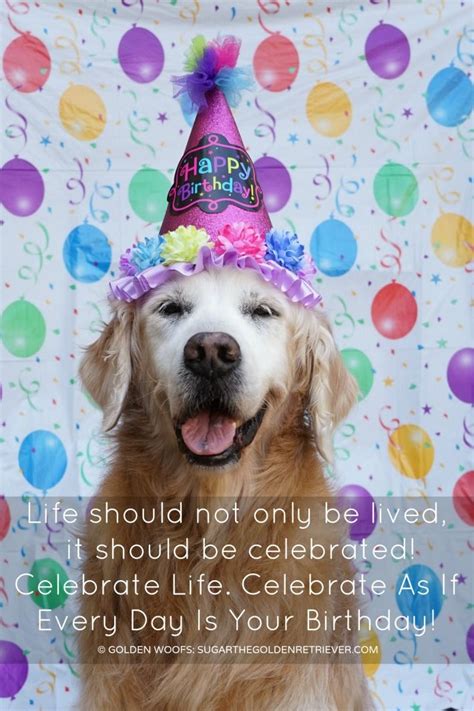 25 Best Ideas Happy Birthday Dog Quotes - Home, Family, Style and Art Ideas