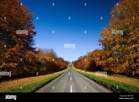 Country road in Autumn Stock Photo - Alamy