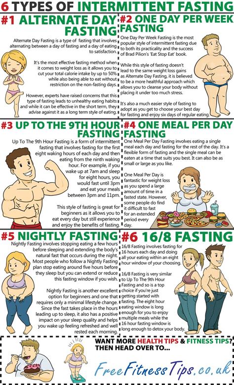 Intermittent Fasting Guide 16/8 | sdb3ano silvia helena