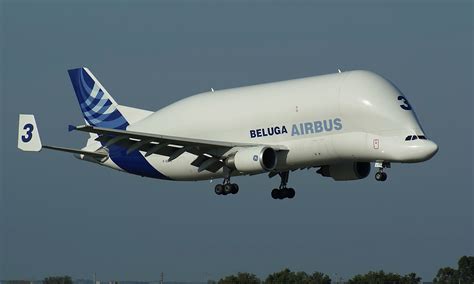 Explore Future Technology: airbus beluga