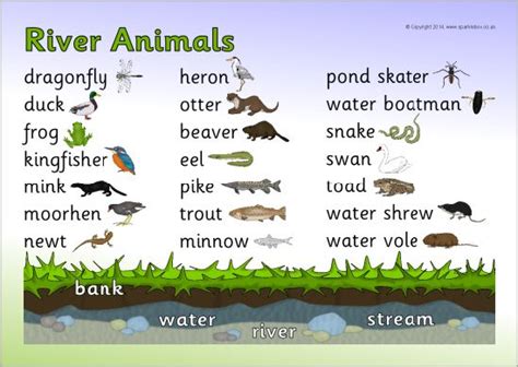 River Animals Word Mat | Teaching Resources