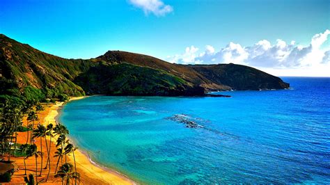 Desktop Wallpaper 4k Hawaii Hawaii Palm Poolenalena 4k Clouds Olenalena ...