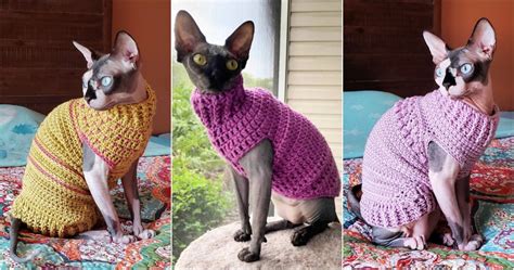 14 Free Crochet Cat Sweater Patterns - Blitsy