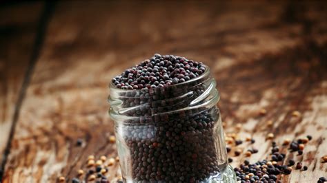 ARCHAEOLOGY OF HERBS & SPICES - Black Mustard Seed - Chef's Mandala