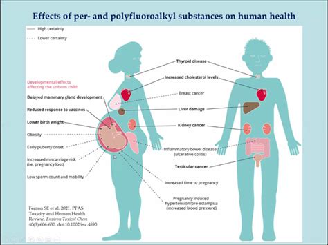 Groups Demand Ban on a Class of Dangerous “Forever Chemicals”