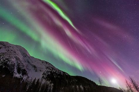 Fairbanks alaska northern lights - startxo