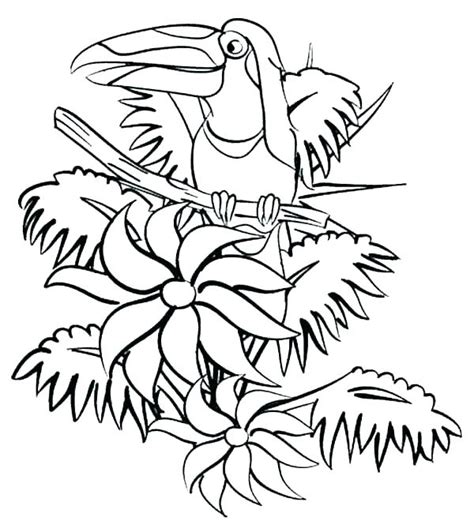 Rainforest Flowers Coloring Pages at GetColorings.com | Free printable colorings pages to print ...