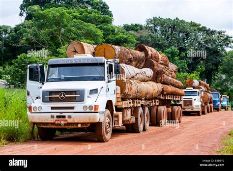 Brazil Amazon Rainforest Logging truck carrying timber Stock Photo - Alamy