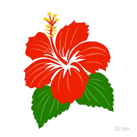 Download High Quality hibiscus clipart red Transparent PNG Images - Art Prim clip arts 2019