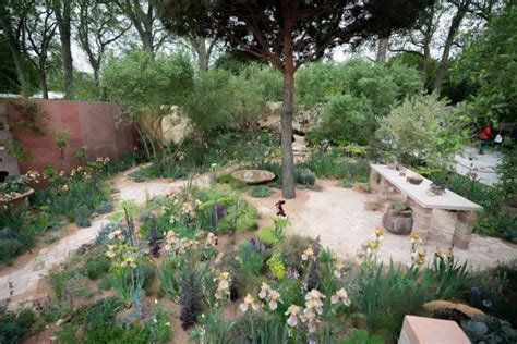 Chelsea Flower Show 2023 winners: the medal-winning gardens at this ...