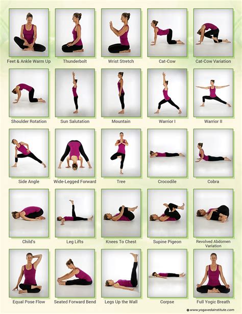 Day 6 Yoga Veda Sister Science | Ayurveda yoga, Yoga therapy, Therapeutic yoga