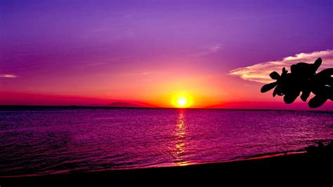 Free download 67 Pretty Sunset Wallpapers on WallpaperPlay [1920x1200 ...