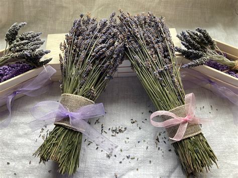 Dried Lavender Bunch Dried Lavender Bouquet Dried Lavender Flowers/ Dried Lavender Lavender ...