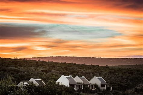 Birding in the Addo National Park | Africa Safaris | Shanrod Africa