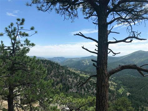 Burro Loop Trail - Colorado | AllTrails