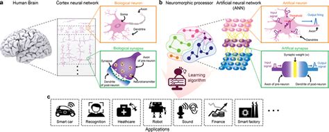 How to Build a Brain: A Hardware Overview of Neural Network ...