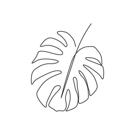 Monstera Leaf Line Art Drawing Vector, Monster Drawing, Leaf Drawing, Wing Drawing PNG and ...
