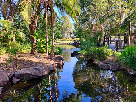Gold Coast Regional Botanic Gardens - 230 Ashmore Rd, Benowa QLD 4217, Australia