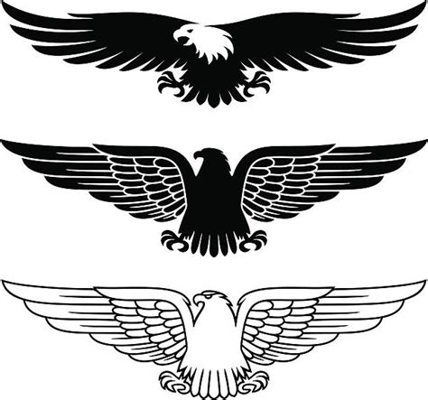 Eagle Illustrations, Royalty-Free Vector Graphics & Clip Art - iStock