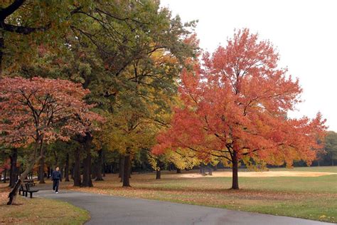 Top 10 Best Parks in Queens, New York