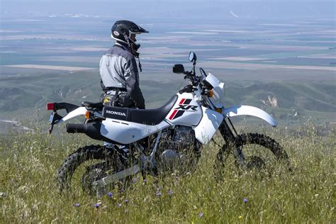 2023 Honda XR650L Review [30th Anniversary Retrospective]