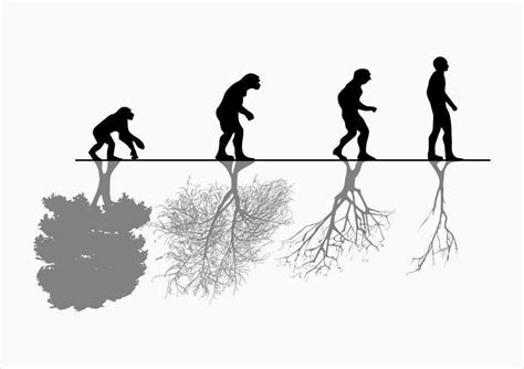 Human nature VS evolution – IAAC Blog