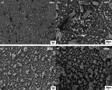 Morphologies of copper sulfide deposits formed on oxygen-free copper in ...