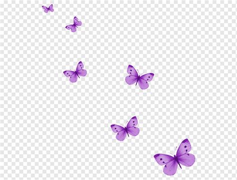 Purple Butterfly Images Png, Download Butterfly Purple Clipart Png Photo Toppng, The image is ...