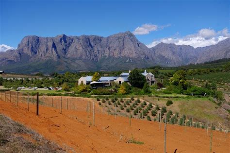 The wines of Tokara, Stellenbosch, South Africa