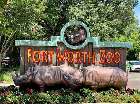 Top 10 Things Not to Miss at the Fort Worth Zoo