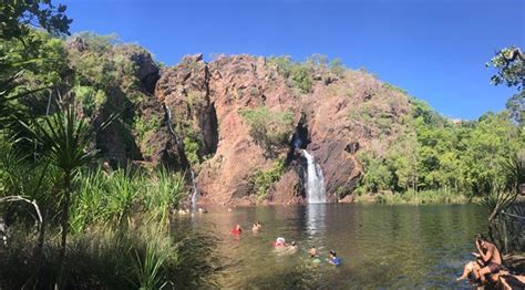 Wangi Falls Loop Walk - Aussie Bushwalking