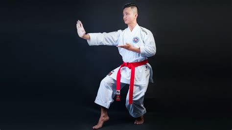 14 Basic Karate Stances Help You Build a Strong Base