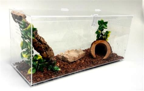 TARANTULA,REPTILES,,SNAKES 10 GALLON SPECIAL TERRESTRIAL CAGE WITH ...