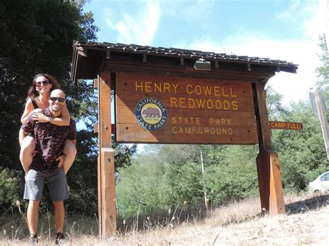 Henry Cowell Redwoods State Park Camping | The Dyrt