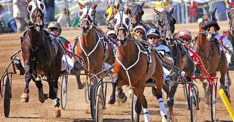 Live harness racing returns to Hoosier Park | The TwinSpires Edge