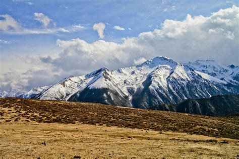 2023白马雪山观景台游玩攻略,返程中经过白马雪山是蓝天白...【去哪儿攻略】