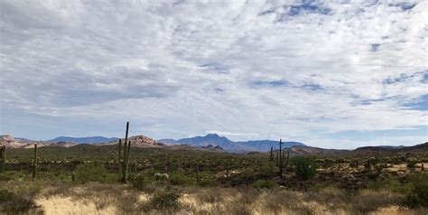 Best Trails in Lost Dutchman State Park - Arizona | AllTrails