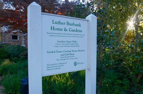 Luther Burbank Home and Gardens Bloom with Kindly Spirits and Botanical History