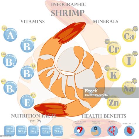 Shrimp Nutrition Facts And Health Benefits Infographic Stock ...