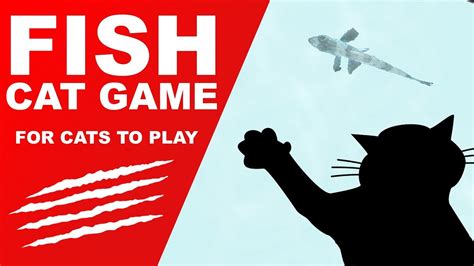 Cat Game: Fish! - YouTube