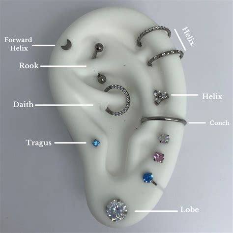 Ear Piercing Chart | Pierced Universe