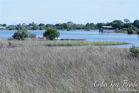 Cedar Key, Florida is for nature lovers. - The Birch Cottage