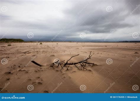 Minimalistic Landscape of a Desert with Clouds in the Sky Stock Image ...