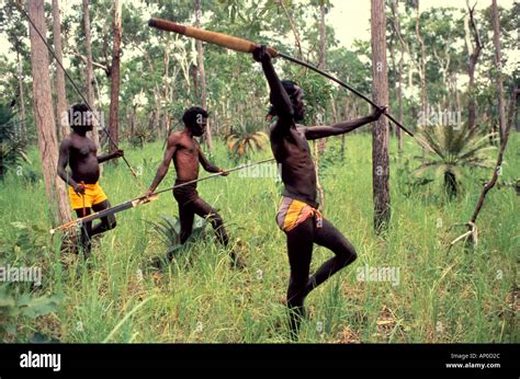 Aboriginal men hunting with spears near Ramingining Arnhem Land NT ...